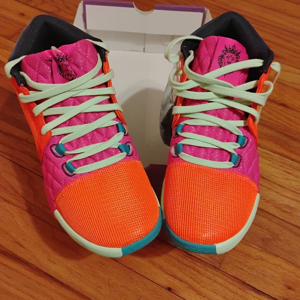 Nike Lebron witness 8